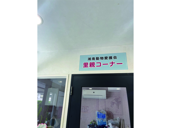 ƐkɗĂꂽy`肳`